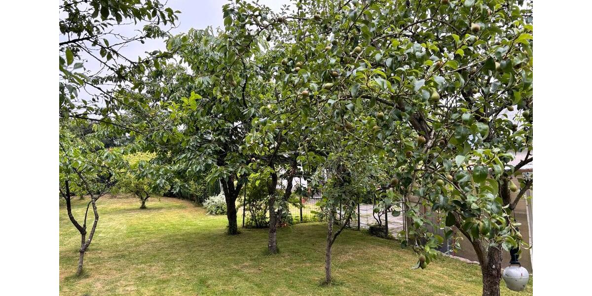 Einfamilienhaus Grömitz - 280.000&euro; | Angebot:26954564
