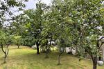 Einfamilienhaus Grömitz - 280.000&euro; | Angebot:26954564
