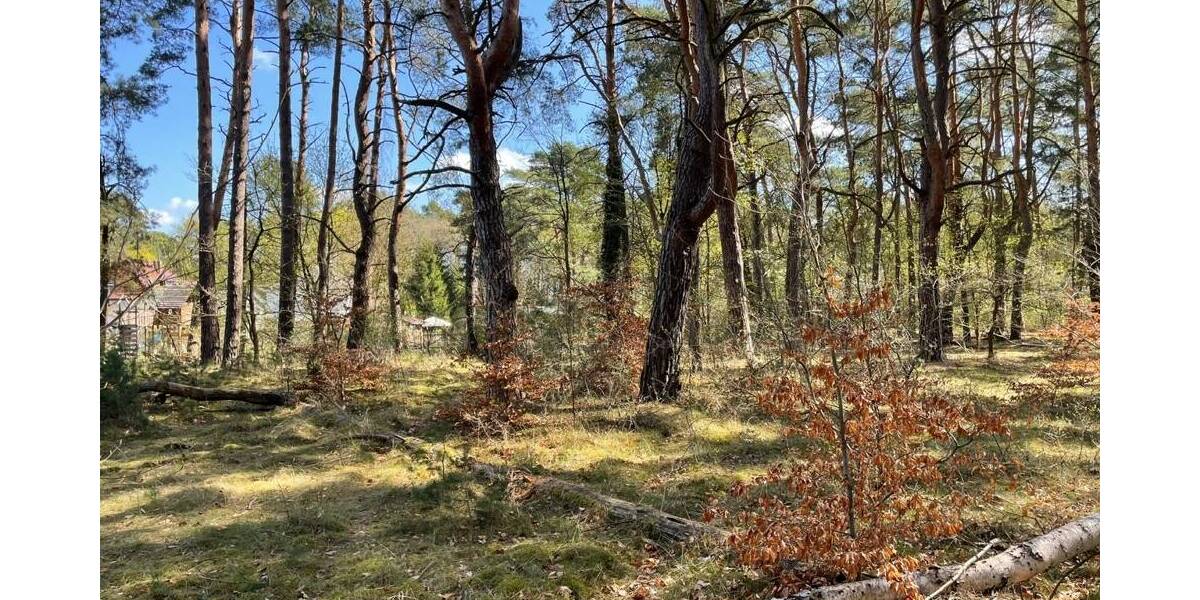 Grundstück Bad Saarow Bad Saarow-Pieskow - 388.000&euro; | Angebot:26202003