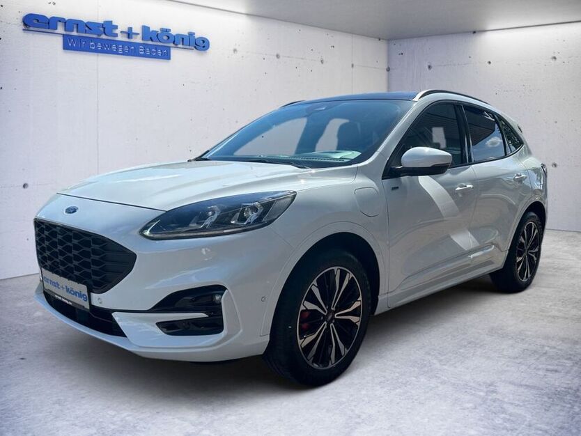 Kuga