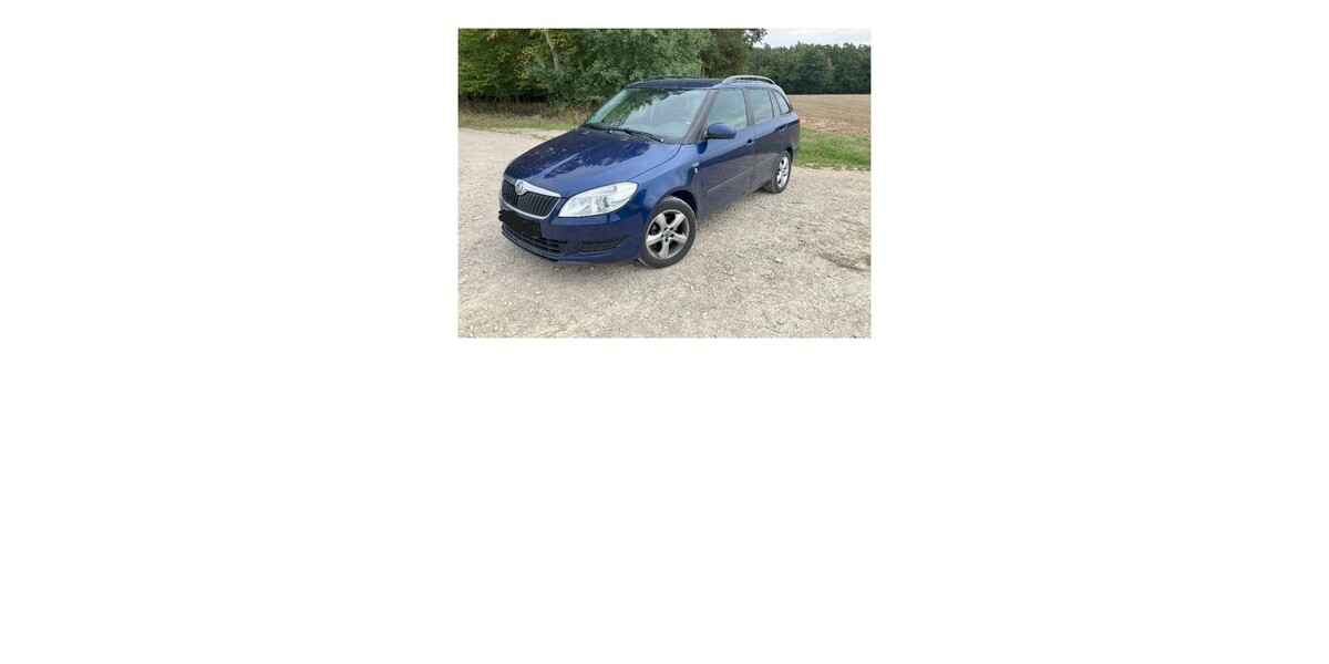 Skoda Fabia 208.650 km 2.200 € Aurachtal 91086
