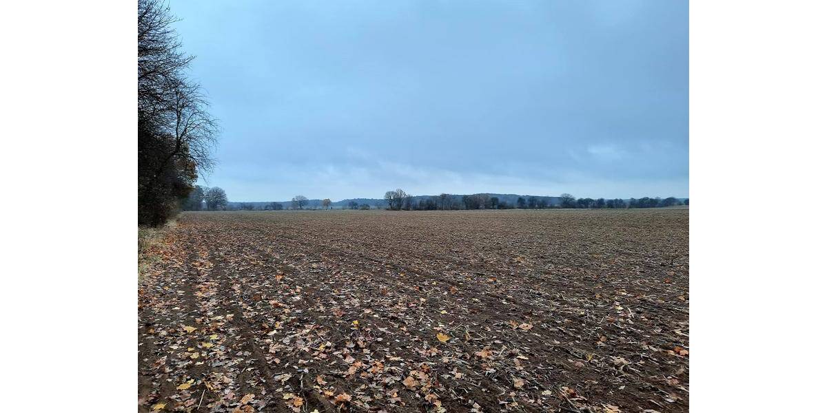 Grundstück Altlandsberg Fasanenpark - 1.190.000&euro; | Angebot:25775806