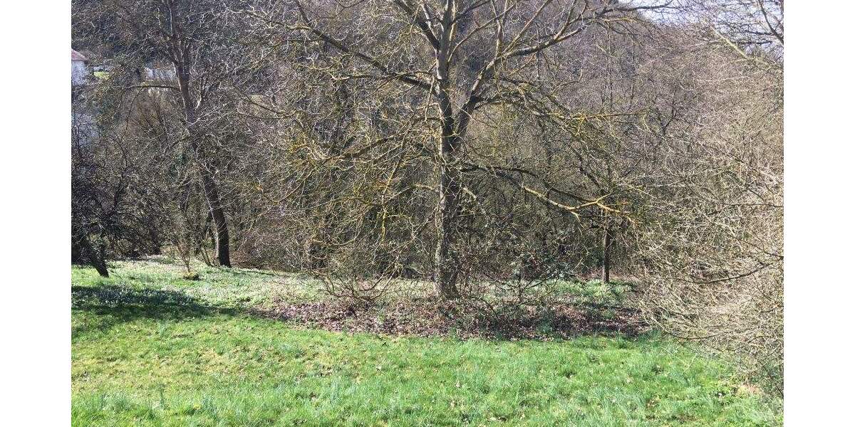 Grundstück Waldeck - 59.000&euro; | Angebot:25737996