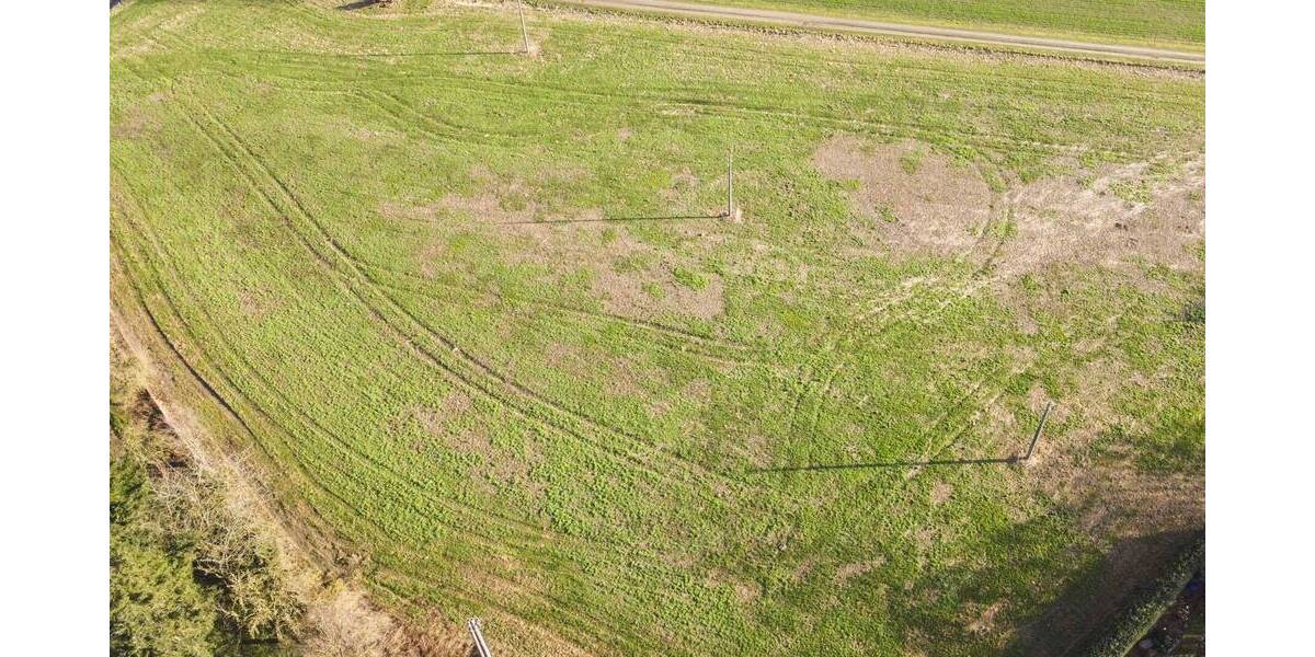 Einfamilienhaus Süderholz Behnkenhagen - 8 Zimmer, 299.000&euro; | Angebot:26157936