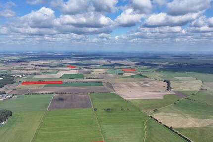 Grundstück in Schönhausen (Elbe) 99.900 € 117400 m² zimmer