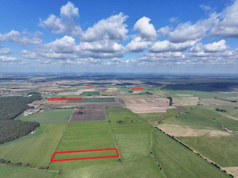 Grundstück in Schönhausen (Elbe) 99.900 € 117400 m² zimmer