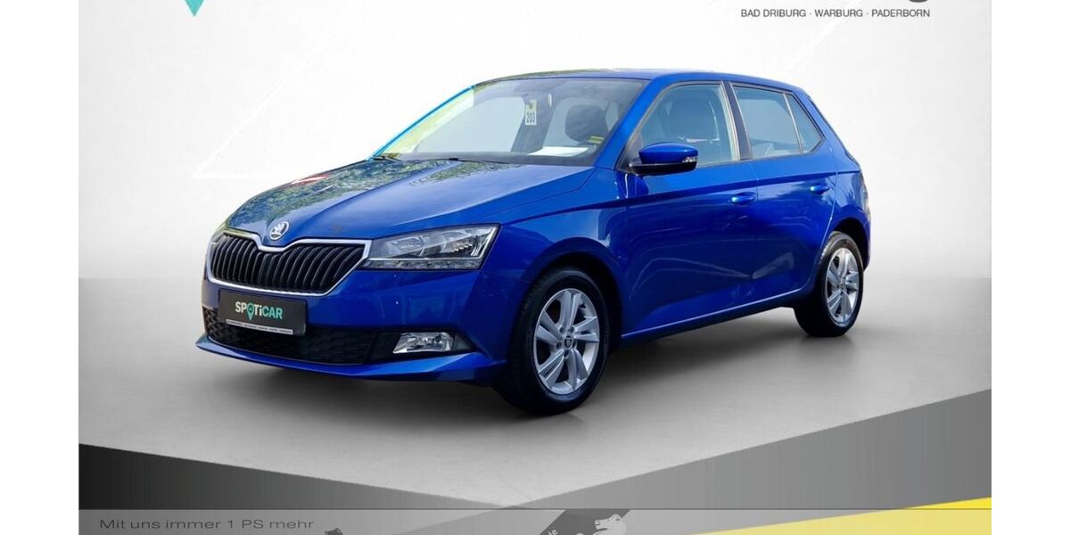 Skoda Fabia 112.500 km 9.470 &euro; Bad Driburg 33014