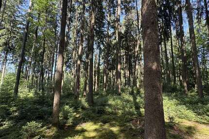 Grundstück Ergoldsbach / Langenhettenbach Langenhettenbach - 158.400&euro; | Angebot:23033158