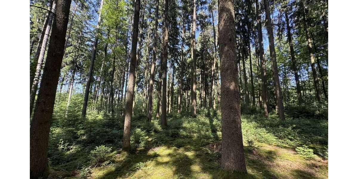 Grundstück in Ergoldsbach Langenhettenbach 158.400 € 31680 m² zimmer