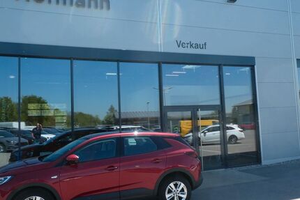 Opel Grandland (X) 129.250 km 13.950 &euro; Bad Saulgau 88348