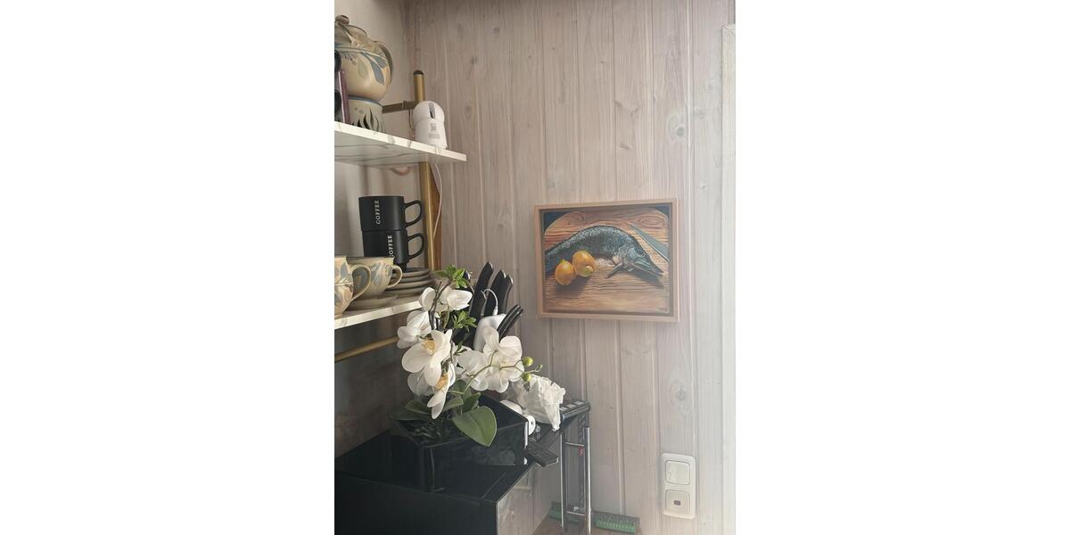 Reihenhaus Teterow - 3 Zimmer, 52 m&sup2;, 255.000&euro; | Angebot:26380018