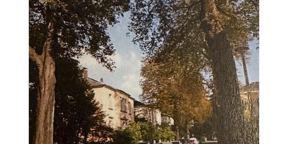 Erdgeschoßwohnung Dresden Blasewitz - 2 Zimmer, 47 m&sup2;, 550&euro; | Angebot:26302607