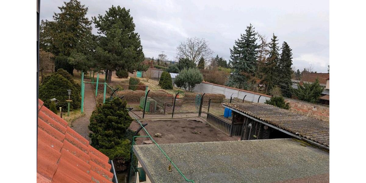 Einfamilienhaus Südliches Anhalt Pfaffendorf - 6 Zimmer, 116 m&sup2;, 108.500&euro; | Angebot:26700912