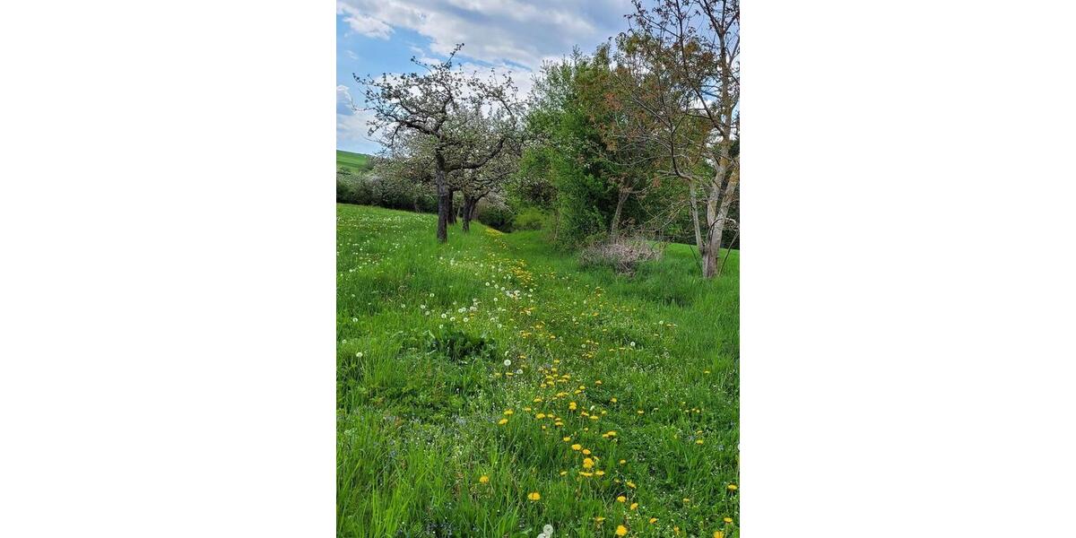 Einfamilienhaus Geroda - 5 Zimmer, 145 m&sup2;, 269.000&euro; | Angebot:23571219