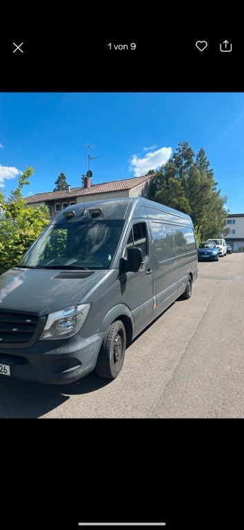 Sprinter
