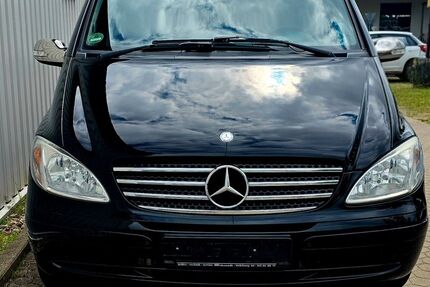 Mercedes Viano