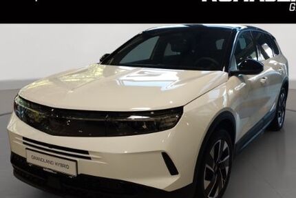 Opel Grandland (X) 8.990 km 37.990 € Duisburg 47059