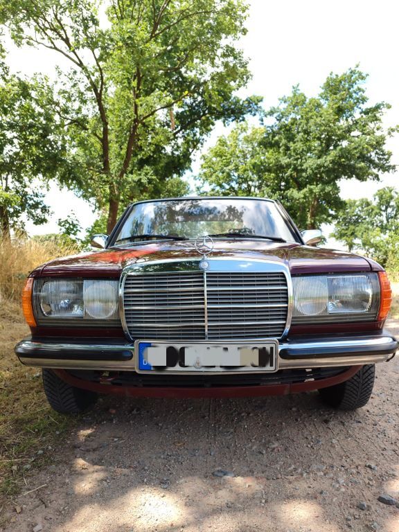 230