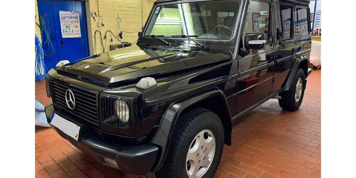 Mercedes-Benz G 270 329.500 km 27.500 &euro; Arendsee 39619