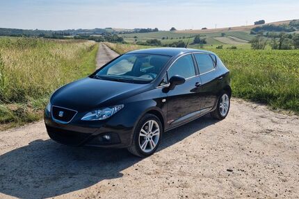 Seat Ibiza 124.000 km 6.000 € Battweiler 66484