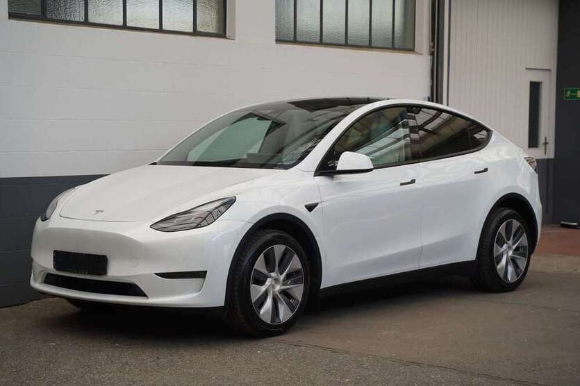 Model Y