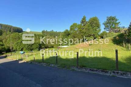 Grundstück Pronsfeld - 59.000&euro; | Angebot:26892175