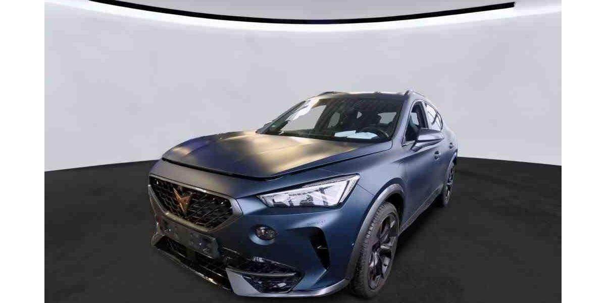 Cupra Formentor 20.560 km 30.900 &euro; Bad Camberg 65520