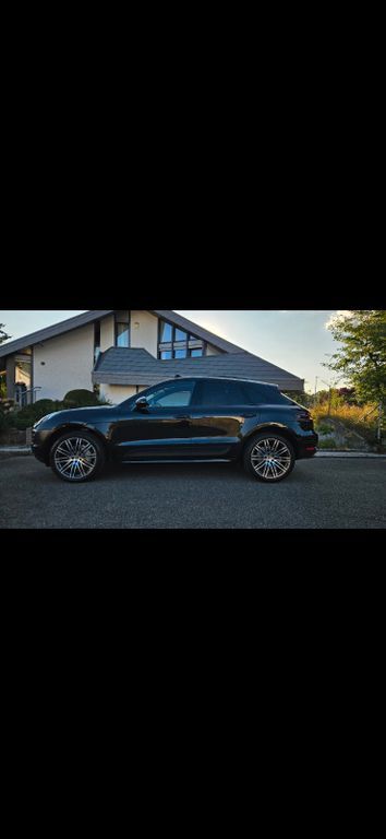 Macan