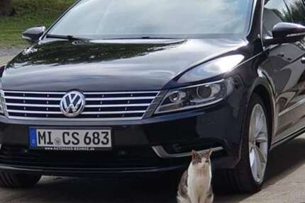 VW CC 195.253 km 11.500 &euro; Holzhausen (Porta Westfalica) 32457