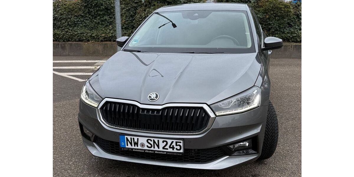 Skoda Fabia 7.100 km 20.999 &euro; Neustadt an der Weinstraße 67433