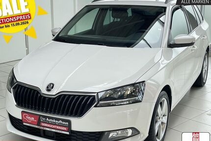 Skoda Fabia 71.981 km 13.220 &euro; Horb a/N 72160