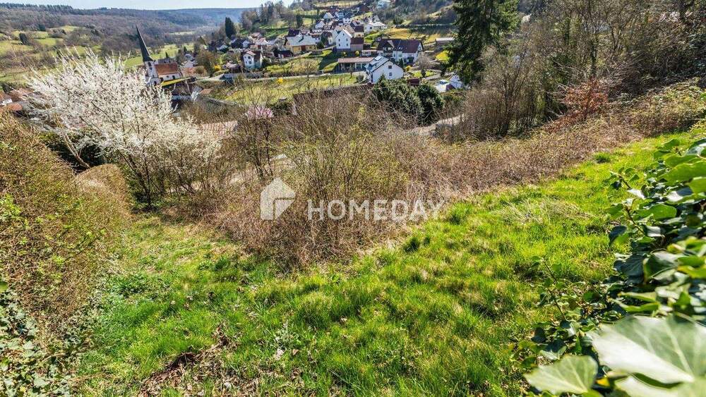 Grundstück Sinntal Mottgers - 12.000&euro; | Angebot:25737469