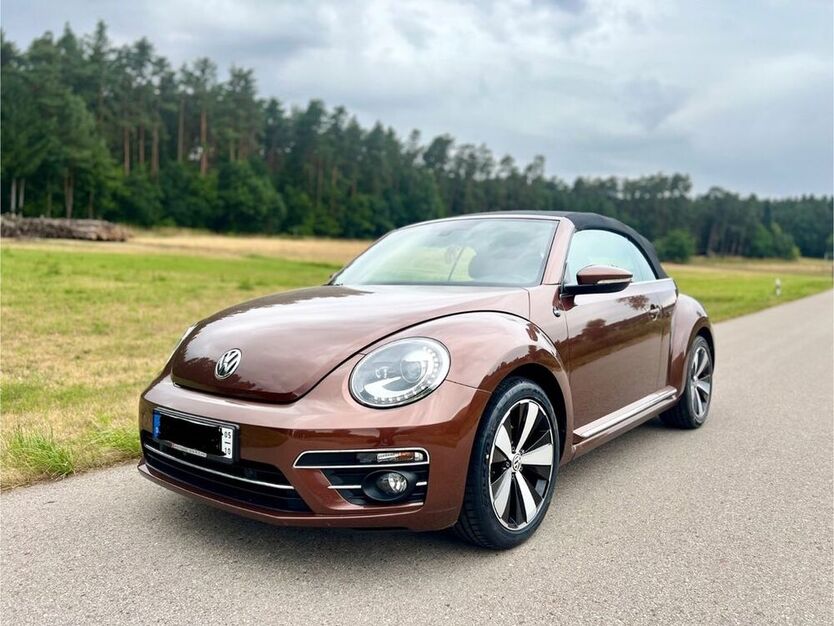 Beetle