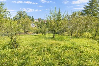 HISTORISCH VIEL PLATZ MIT GARTEN UND GARAGE - Reihenendhaus Arnstadt | Angebot:27229168