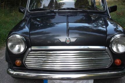 Rover Andere 80.000 km 8.000 &euro; Böblingen 71272