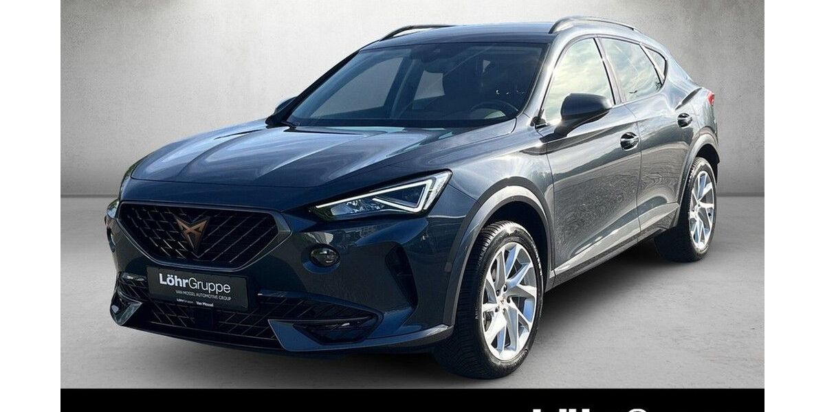 Cupra Formentor 17.510 km 24.330 &euro; Mainz 55120