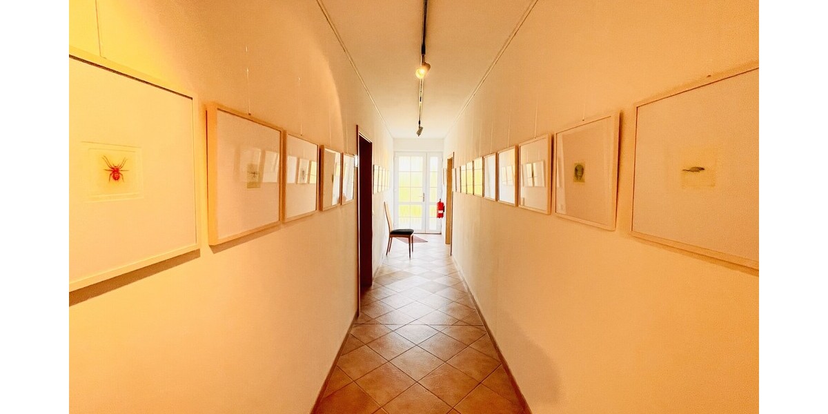 Doppelte Chance in Neulewin:Pension als Kapitalanlage nutzen & EFH sanieren Neubau auf 2.939 m² GST - Gewerbeobjekt Neulewin | Angebot:26506889