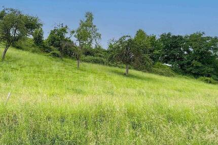 Wohnen im Grünen: 795?m² Baugrundstück in Eberbach - sofort bebaubar! zimmer