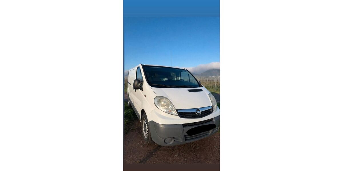 Opel Vivaro 208.000 km 6.200 &euro; Insheim 76865