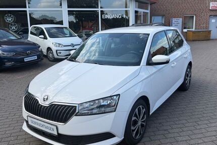 Skoda Fabia 60.600 km 12.399 &euro; Walsrode 29664