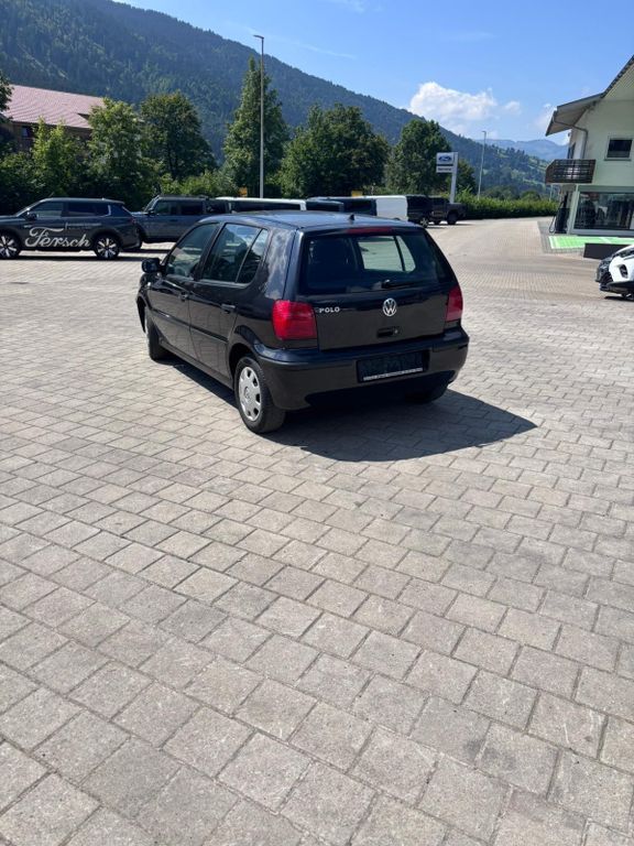 Polo
