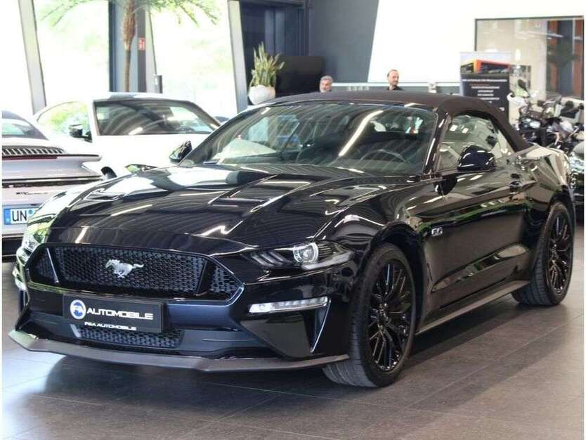 Mustang