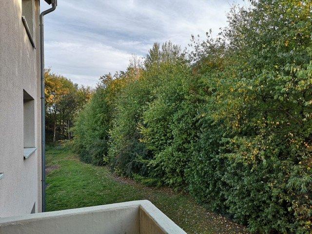 Erdgeschoßwohnung Bad Fallingbostel - 5 Zimmer, 99 m&sup2;, 640&euro; | Angebot:26382300