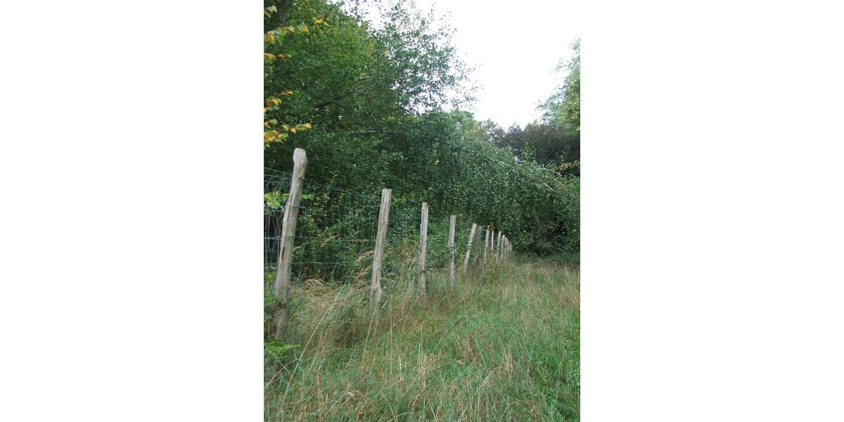 Villa Gützkow - 129.000&euro; | Angebot:26266032