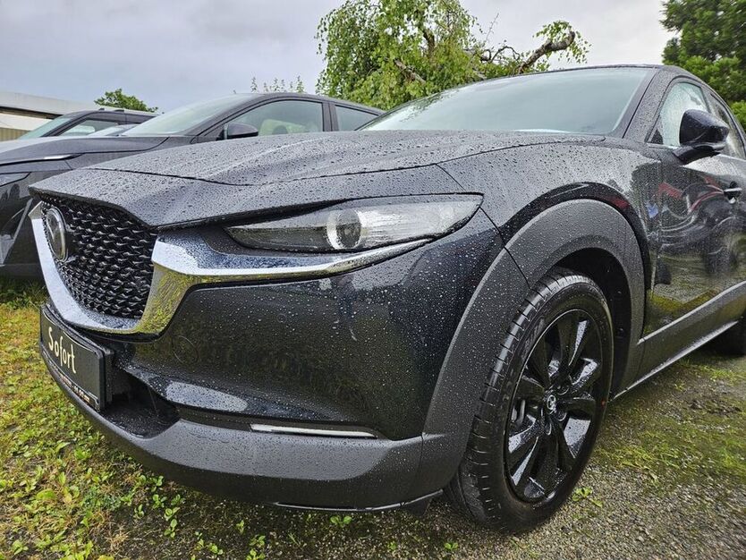 CX-30