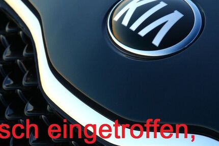 Kia Sorento 44.881 km 30.888 &euro; Rheine 48432