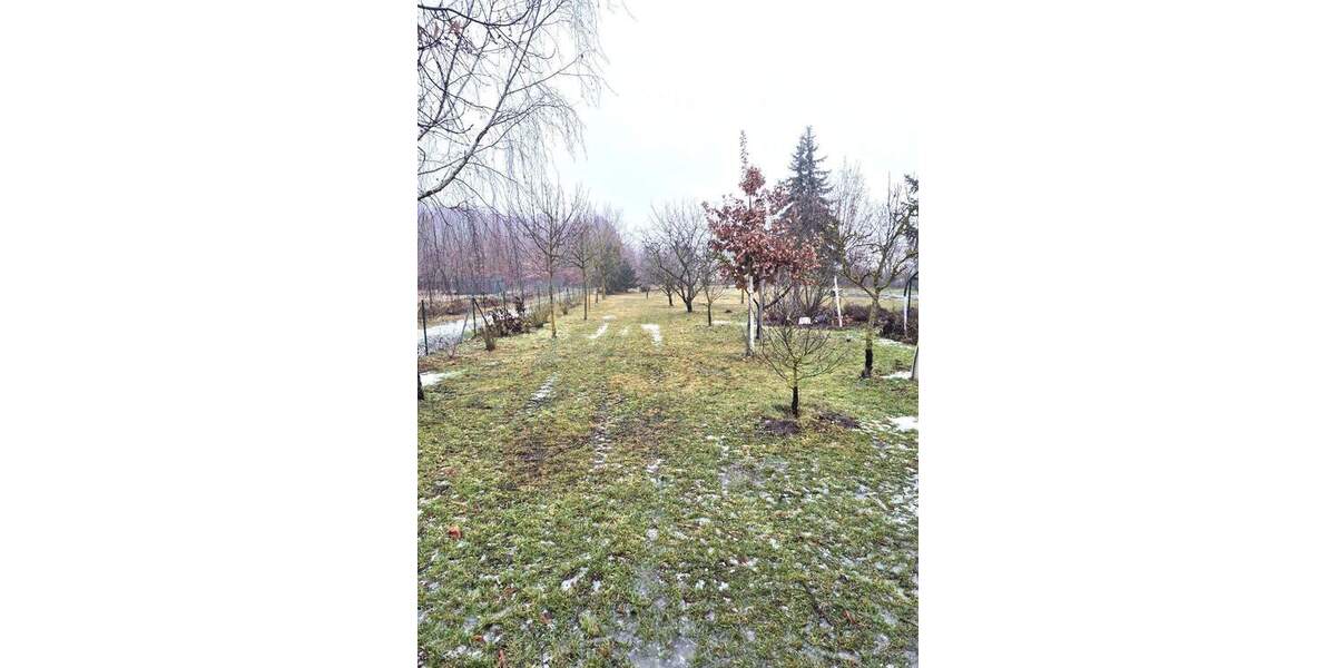 Doppelhaushälfte Neutrebbin Altlewin - 2 Zimmer, 106 m&sup2;, 210.000&euro; | Angebot:25726578