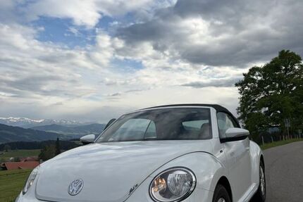 VW Beetle 32.800 km 21.900 &euro; Weiler Simmerberg 88171