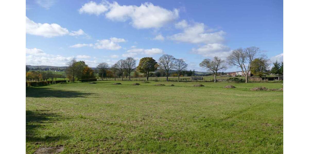 Etagenwohnung Hellenthal Rescheid - 2 Zimmer, 77 m&sup2;, 85.000&euro; | Angebot:23046606