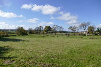 Wohnung Hellenthal Rescheid - 2 Zimmer, 77 m&sup2;, 85.000&euro; | Angebot:23046606